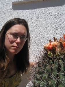In August orange cactus flowers open